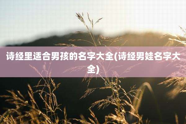 诗经里适合男孩的名字大全(诗经男娃名字大全)