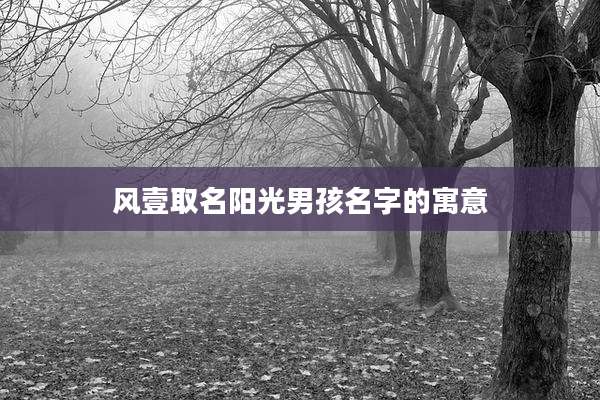 风壹取名阳光男孩名字的寓意