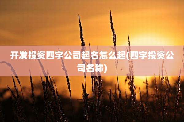 开发投资四字公司起名怎么起(四字投资公司名称)