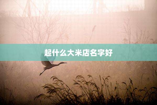 起什么大米店名字好