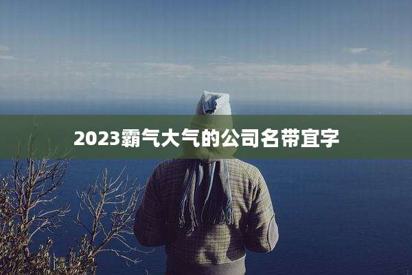 2023霸气大气的公司名带宜字
