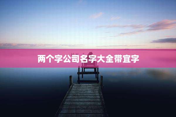 两个字公司名字大全带宜字