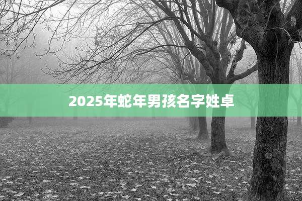 2025年蛇年男孩名字姓卓