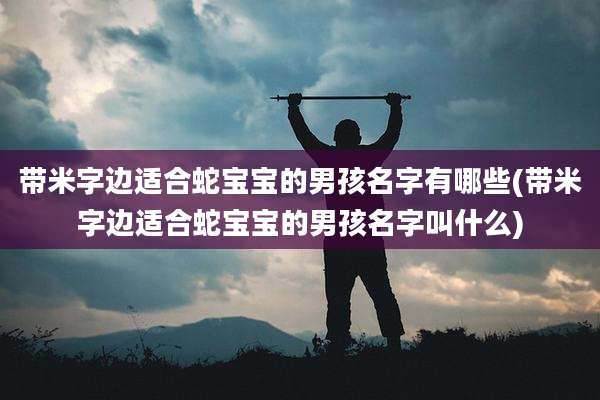 带米字边适合蛇宝宝的男孩名字有哪些(带米字边适合蛇宝宝的男孩名字叫什么)
