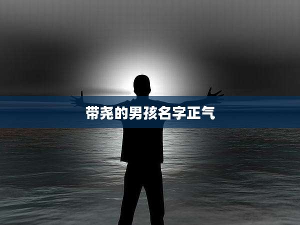 带尧的男孩名字正气