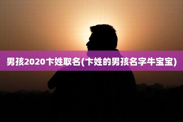 男孩2020卞姓取名(卞姓的男孩名字牛宝宝)