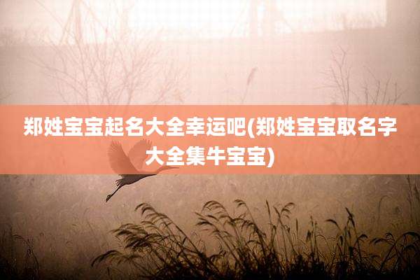 郑姓宝宝起名大全幸运吧(郑姓宝宝取名字大全集牛宝宝)