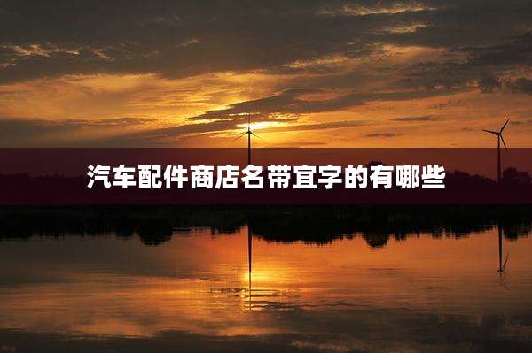 汽车配件商店名带宜字的有哪些