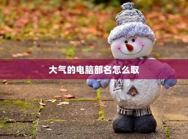 大气的电脑部名怎么取