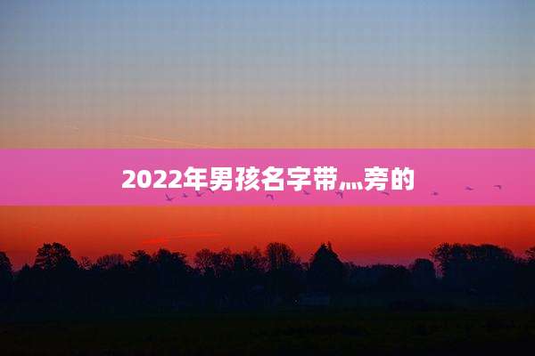 2022年男孩名字带灬旁的