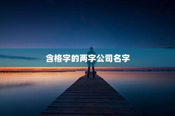 含格字的两字公司名字