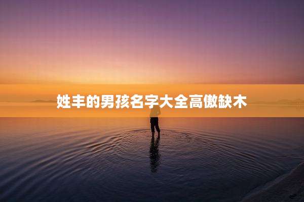 姓丰的男孩名字大全高傲缺木