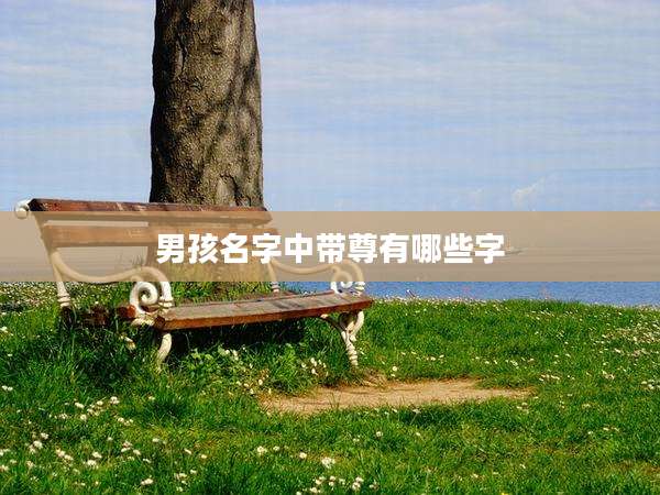 男孩名字中带尊有哪些字