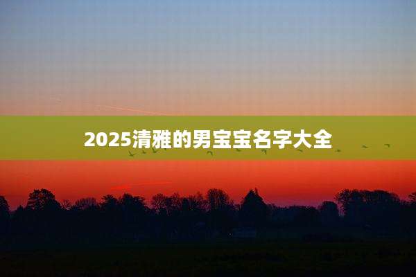 2025清雅的男宝宝名字大全