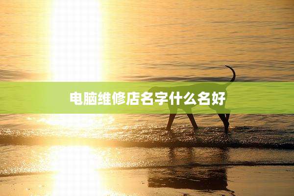 电脑维修店名字什么名好