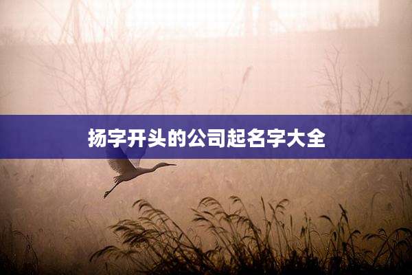 扬字开头的公司起名字大全