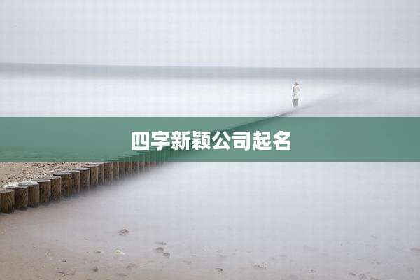 四字新颖公司起名