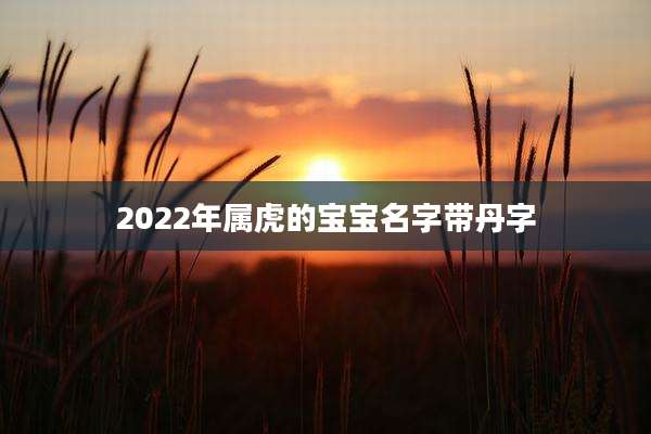 2022年属虎的宝宝名字带丹字