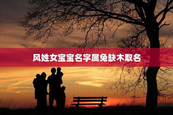 风姓女宝宝名字属兔缺木取名