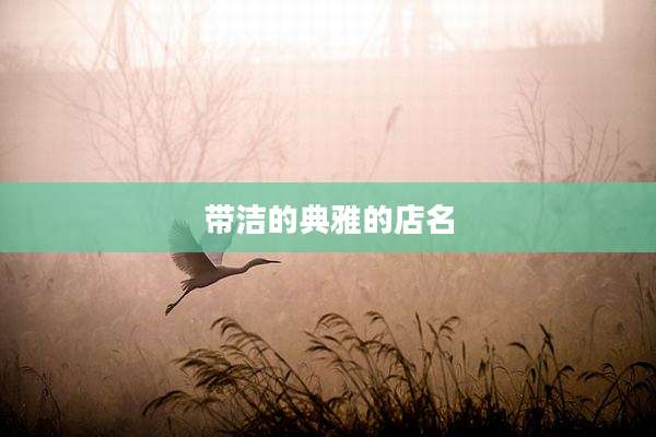 带洁的典雅的店名