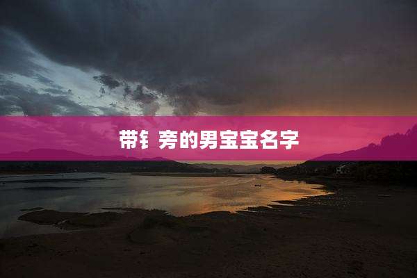 带钅旁的男宝宝名字