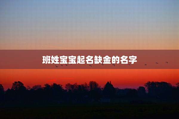 班姓宝宝起名缺金的名字