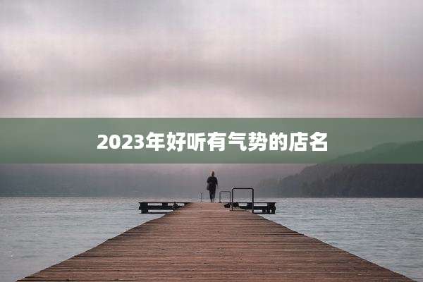 2023年好听有气势的店名