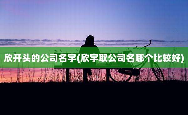 欣开头的公司名字(欣字取公司名哪个比较好)