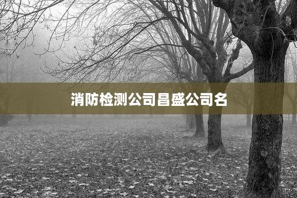 消防检测公司昌盛公司名