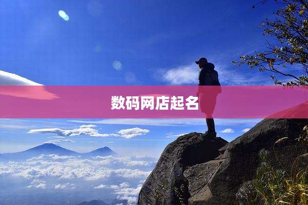 数码网店起名