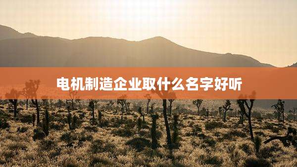 电机制造企业取什么名字好听