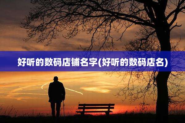 好听的数码店铺名字(好听的数码店名)