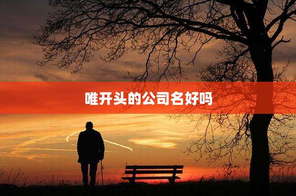 唯开头的公司名好吗