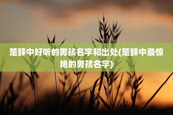 楚辞中好听的男孩名字和出处(楚辞中最惊艳的男孩名字)