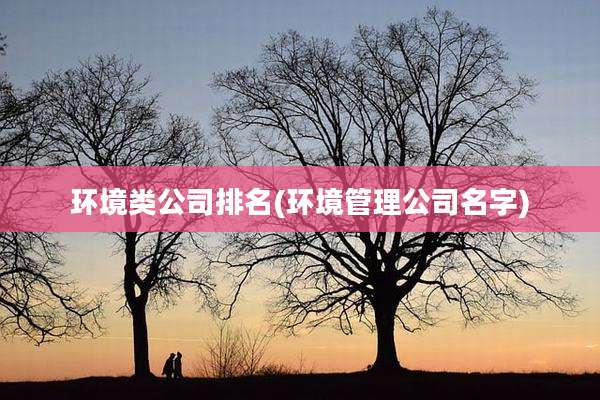 环境类公司排名(环境管理公司名字)