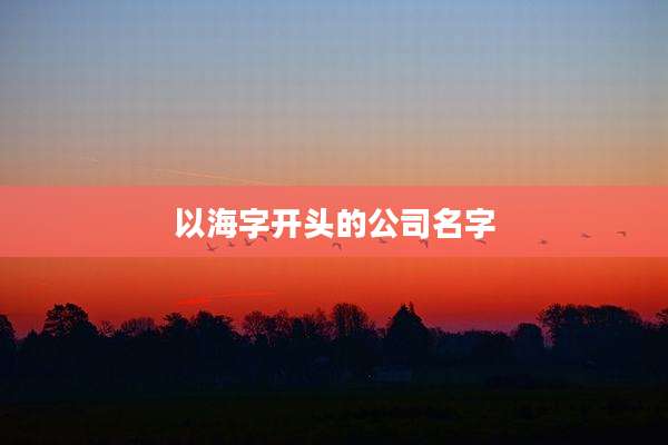 以海字开头的公司名字