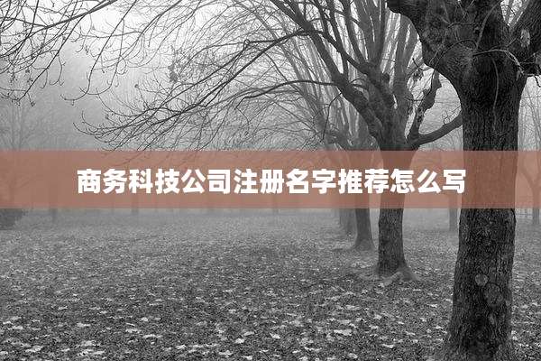 商务科技公司注册名字推荐怎么写