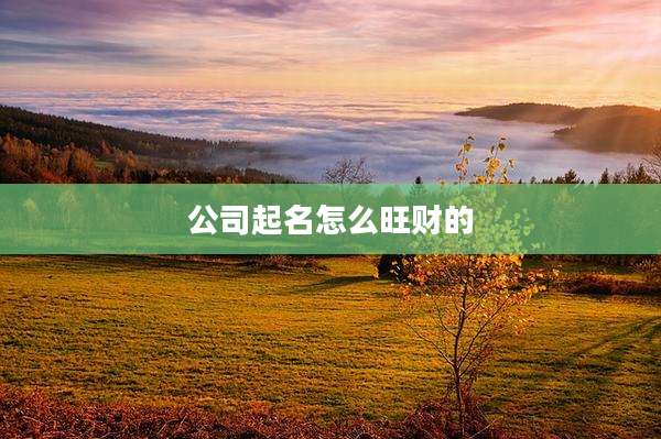 公司起名怎么旺财的