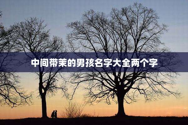 中间带茉的男孩名字大全两个字