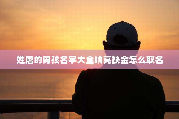 姓屠的男孩名字大全响亮缺金怎么取名