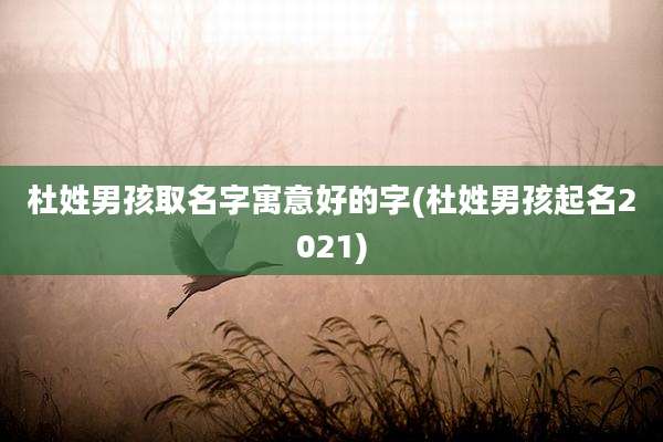 杜姓男孩取名字寓意好的字(杜姓男孩起名2021)