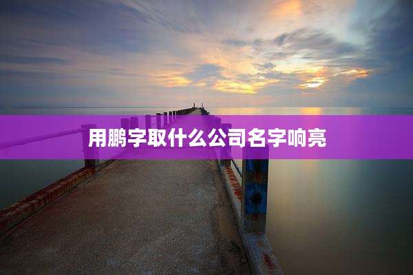 用鹏字取什么公司名字响亮