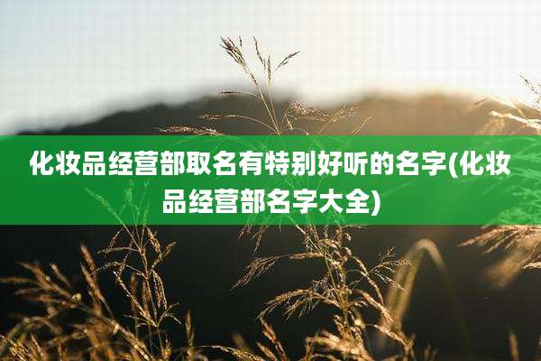 化妆品经营部取名有特别好听的名字(化妆品经营部名字大全)