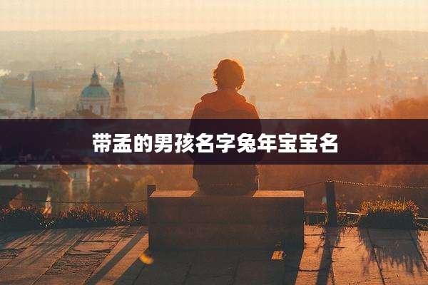带孟的男孩名字兔年宝宝名