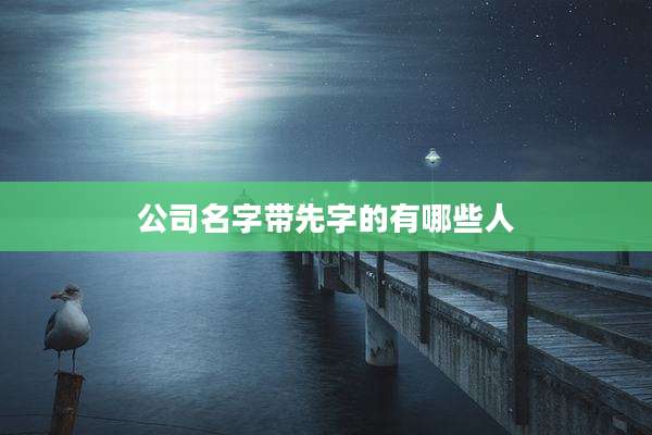 公司名字带先字的有哪些人