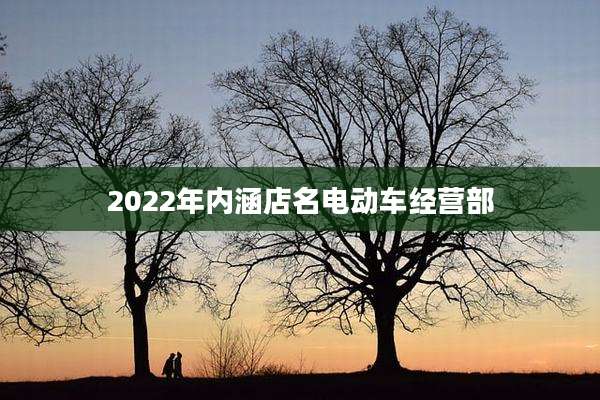 2022年内涵店名电动车经营部