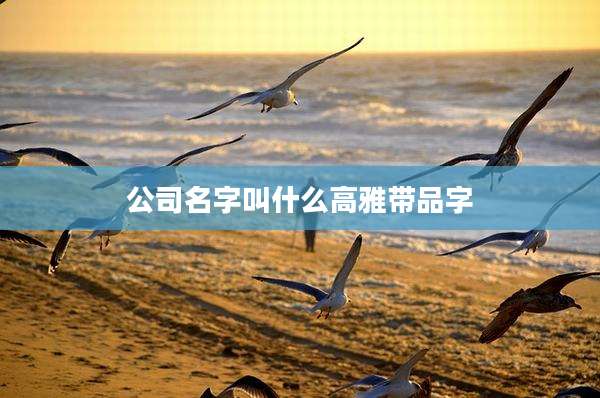 公司名字叫什么高雅带品字