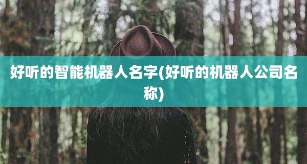 好听的智能机器人名字(好听的机器人公司名称)