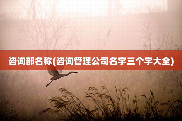 咨询部名称(咨询管理公司名字三个字大全)