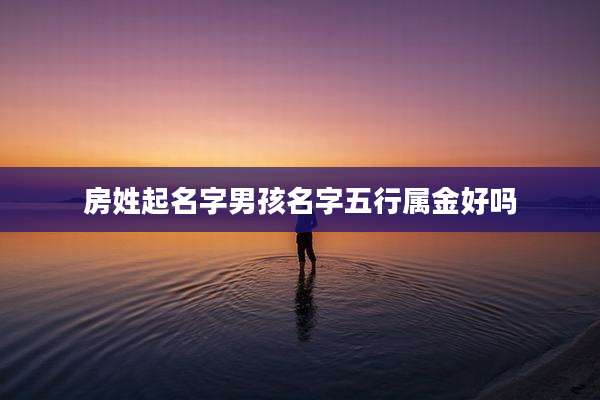房姓起名字男孩名字五行属金好吗
